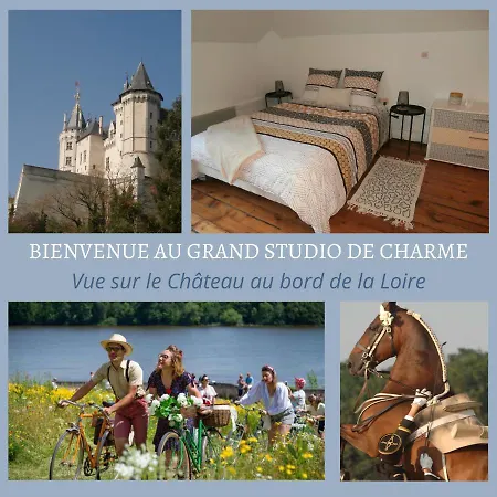 Studio De Charme Entre Loire Et Chateau 아파트 *