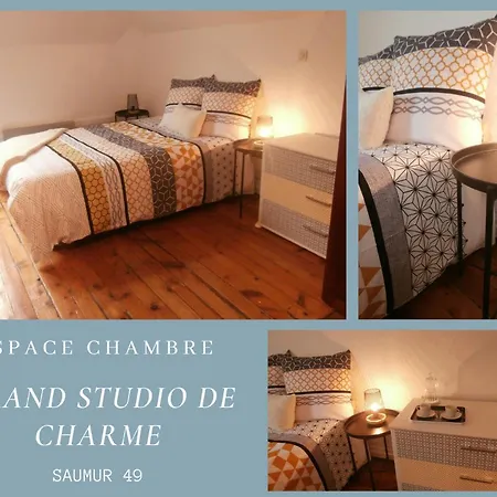 Studio De Charme Entre Loire Et Chateau 아파트 쏘뮤흐