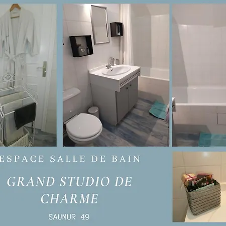 Studio De Charme Entre Loire Et Chateau