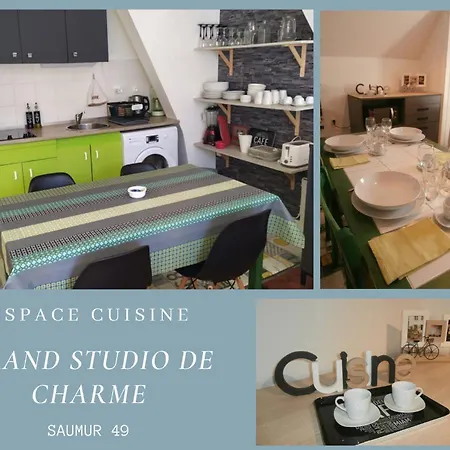 公寓 Studio De Charme Entre Loire Et Chateau *